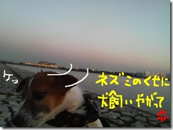 今日カズ081124　20