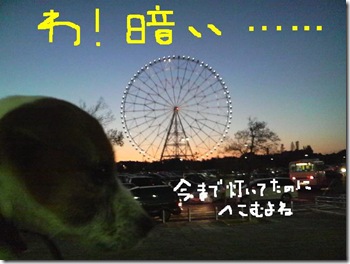 今日カズ081124　21