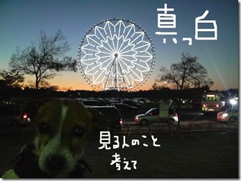 今日カズ081124　22
