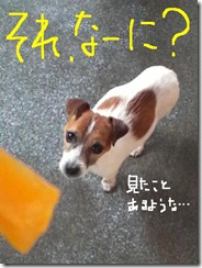 今日カズ081125　1