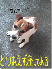 今日カズ081125　2