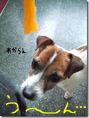 今日カズ081125　3