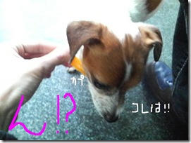 今日カズ081125　4