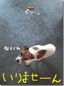 今日カズ081125　5