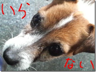 今日カズ081125　7