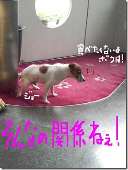 今日カズ081125　8