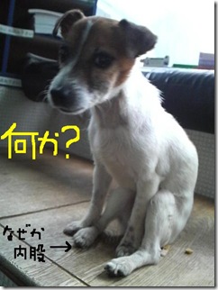 今日カズ081125　10