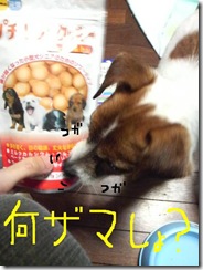 今日カズ081127　2