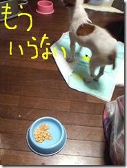 今日カズ081127　5