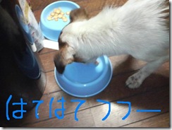 今日カズ081127　7