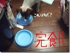 今日カズ081127　8
