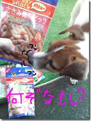 今日カズ081128　2