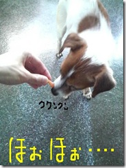 今日カズ081128　3