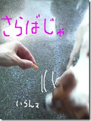 今日カズ081128　4