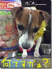 今日カズ081128　5
