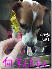 今日カズ081128　6