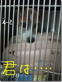 今日カズ081129　2