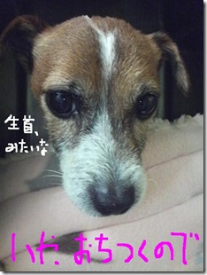 今日カズ081129　4
