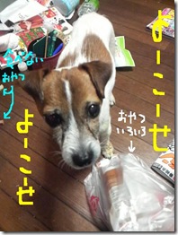 今日カズ081202　1