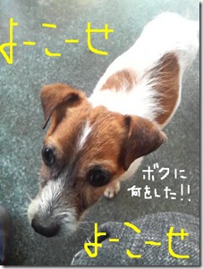 今日カズ081202　3