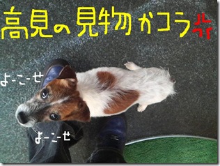 今日カズ081202　4