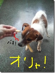 今日カズ081202　6