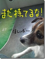 今日カズ081202　8
