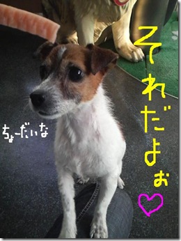 今日カズ081202　9