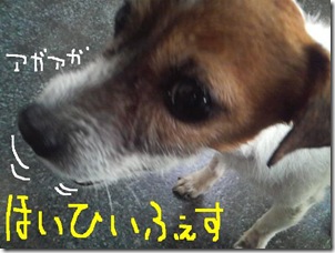 今日カズ081202　10