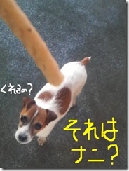 今日カズ081203　1