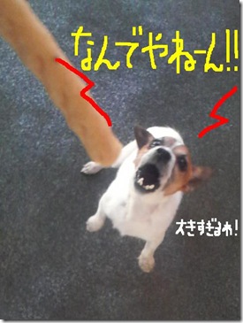 今日カズ081203　3