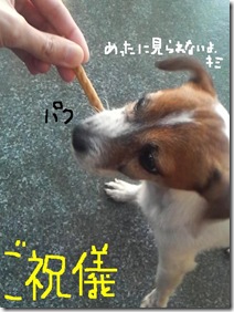 今日カズ081203　4
