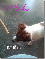 今日カズ081203　5