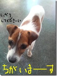 今日カズ081203　7