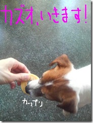 今日カズ081203　10