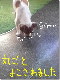 今日カズ081203　13