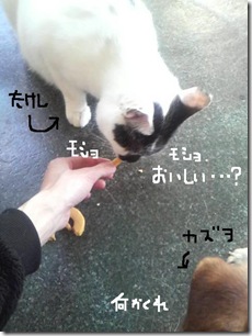 今日カズ081203　14