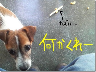 今日カズ081203　15