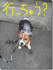 今日カズ081205　1