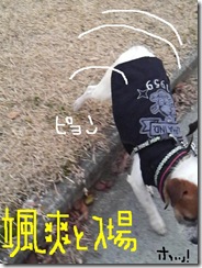 今日カズ081205　3