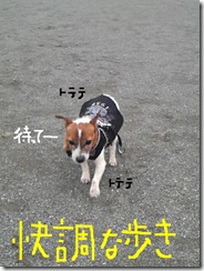今日カズ081205　4
