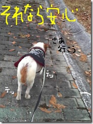今日カズ081205　9