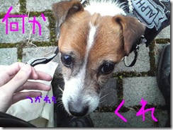 今日カズ081205　10