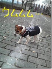 今日カズ081205　13