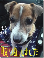 今日カズ081205　15