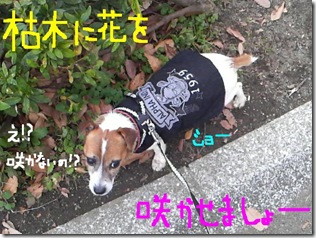 今日カズ081205　6