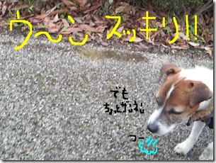 今日カズ081205　7