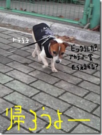 今日カズ081205　12