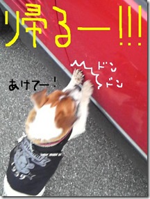 今日カズ081205　14