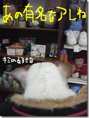 今日カズ081205　21